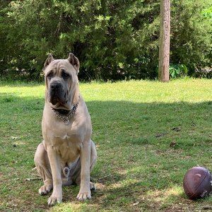 Meet your Posher, Charles